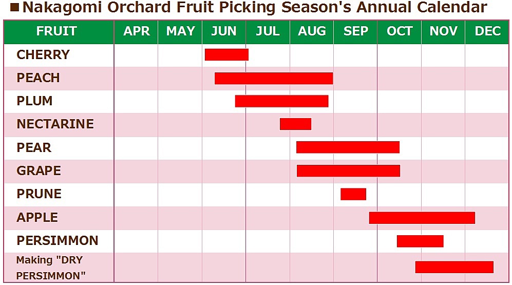 Nakagomi Orchard Fruit Picking Season's Annual Calendar